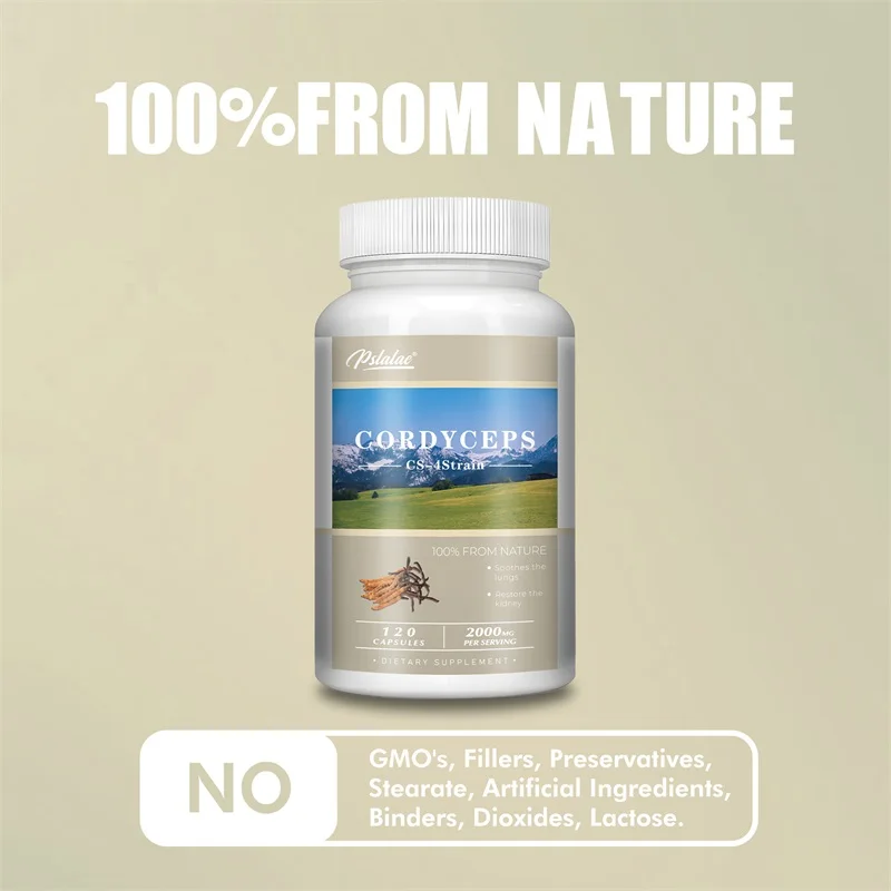 Cordyceps Energy Respiratory Immune Kidney Health Support