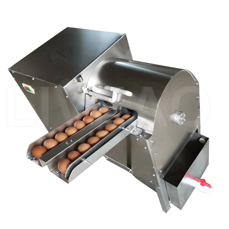 Chicken Duck Egg Washing Machine - Taizy Food Machine