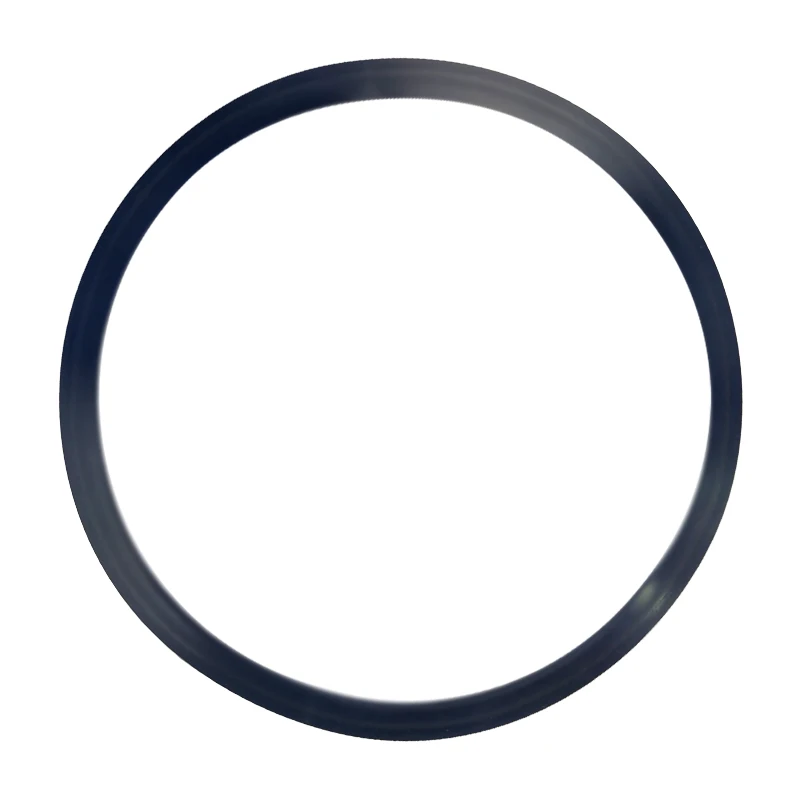 02# chamber gasket replacement oring accessories and tools For Lisa MB 17/22 W&H Autoclave sterlization door