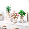 Transparent Hydroponic Flower Pot Imitation Glass Soilless Planting Potted Green Plant Resin Flower Pot Home Vase Decor 2
