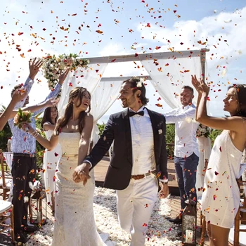 Wedding Dried Flower Petals Confetti Rose Pop Biodegradable Natural Rose Petal For Wedding Party Decoration DIY Handmade Gift 2