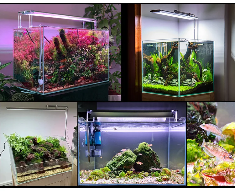 Weekaqua-調光可能なLED水族館ライト,m600k pro,wrgb uv,aaaanum