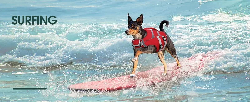 dog life jacket medium