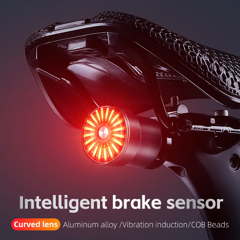 Fanale Posteriore Bici West Con Sensore Di Frenata – USB Ricaricabile, Impermeabile, Intelligente