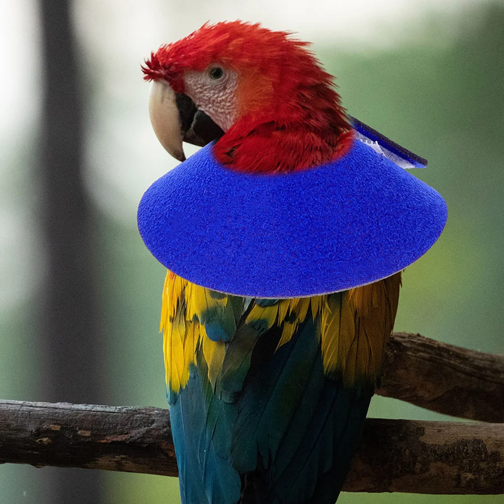 Bird Neck Protector Bird Anti- bite Collar Parrot Neck Collar Recovery for Parakeet