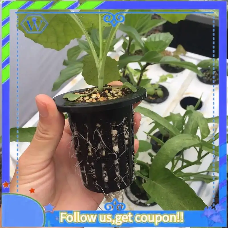 Easy To Use 100Pcs Black Plastic Fixing Basket Gardening Soilless Slotted Mesh Plant Cups, Pots, Buckets, Baskets For Hydroponic