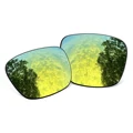 24K Gold-Polarized