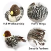 Washable Interactive Cat Toys Plush Flying Bird Squeak Cat Toy Sparrow Catnip Toys Vivid Chirping Simulation Bird Interactive 6