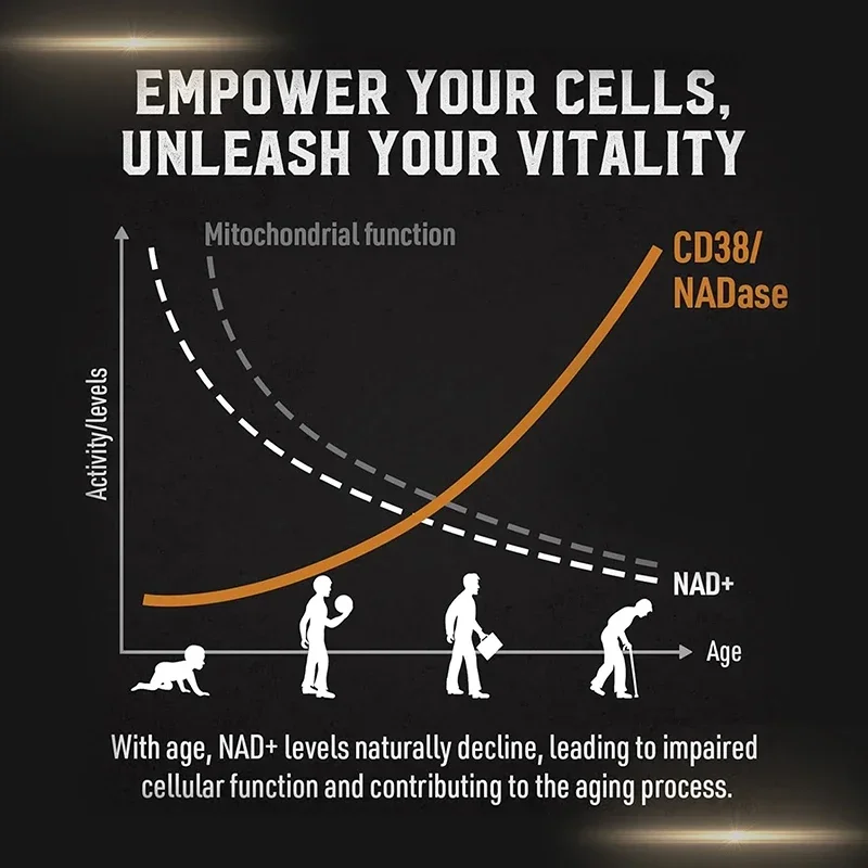 Liposomal NAD-Heart & Brain Function, Longevity, Aging Defense, Cellular Energy