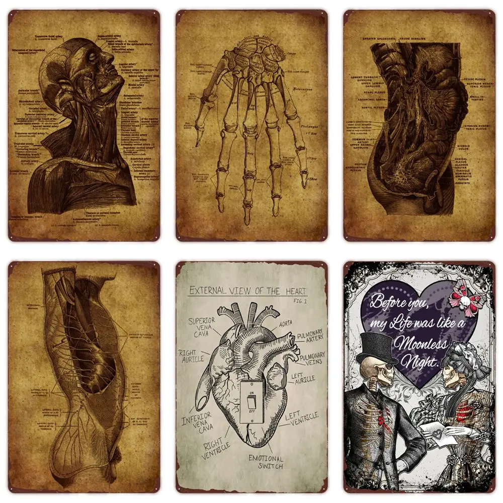 

Heart Vintage Metal Art Plaque, Human Anatomy Artwork, Muscle Tin Sign, Skeleton Retro Poster, Medical, Hospital, Wall Decor