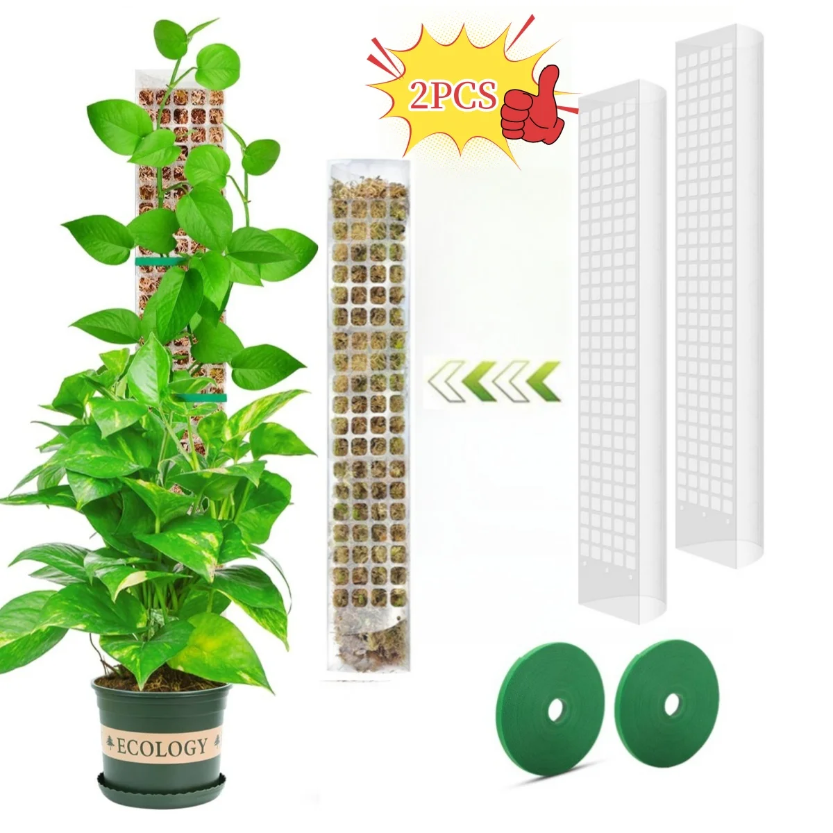 Garden Plant Support Accessories: Moss Pole & Flower Climber