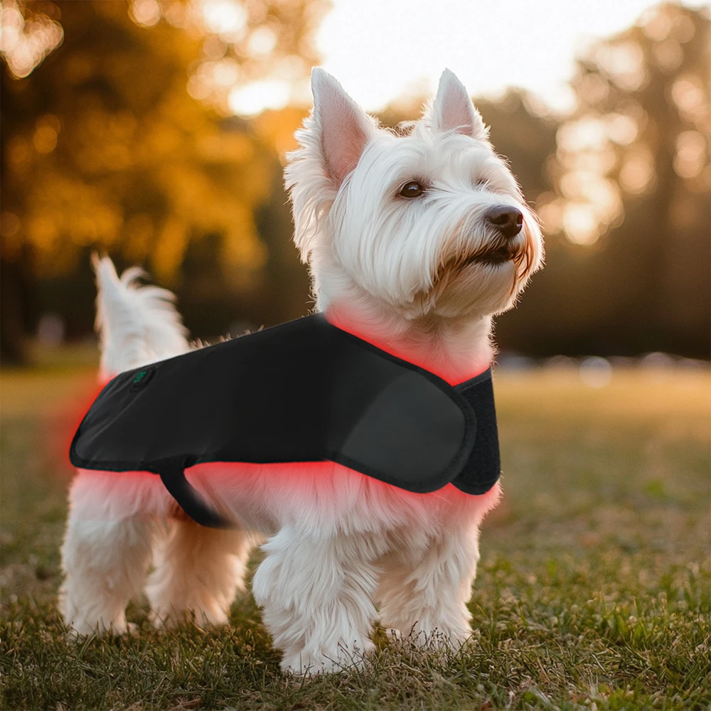 Anti-Inflammatory Factory 660nm Red Light Therapy Dog Back Pad