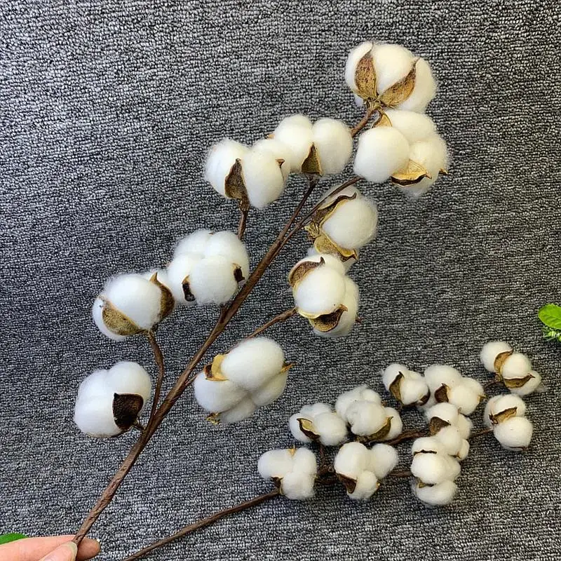 

White Dried Cotton Flowers Artificial Flower Branch For Wedding Party Decoration Fake Flower Home Flower Decor Eucalyptus Leaves