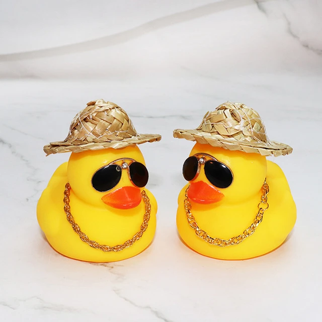 Duck With Sunglasses