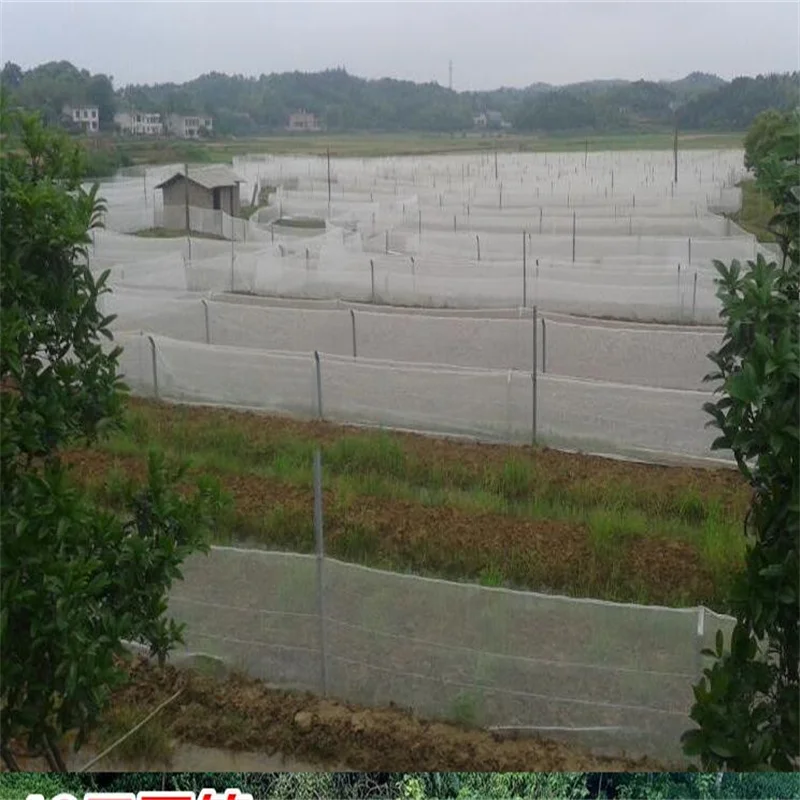 White cage Special for fish culture Cage Aquaculture Fishing net Fish and aquatic products Aquarium in various sizes