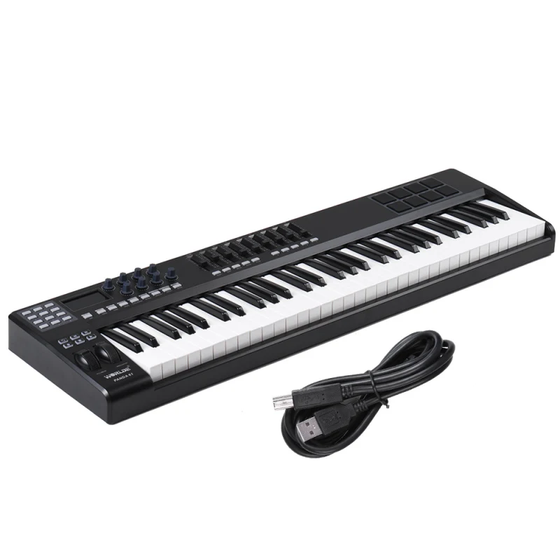 PANDA61 Portable 61-Key USB MIDI Keyboard Controller 8 RGB Colorful Backlit Trigger Pads USB Cable for Composition Creation