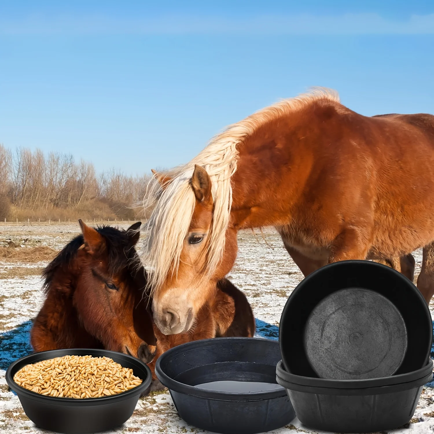 3-Pack Large Feeding Pans 3