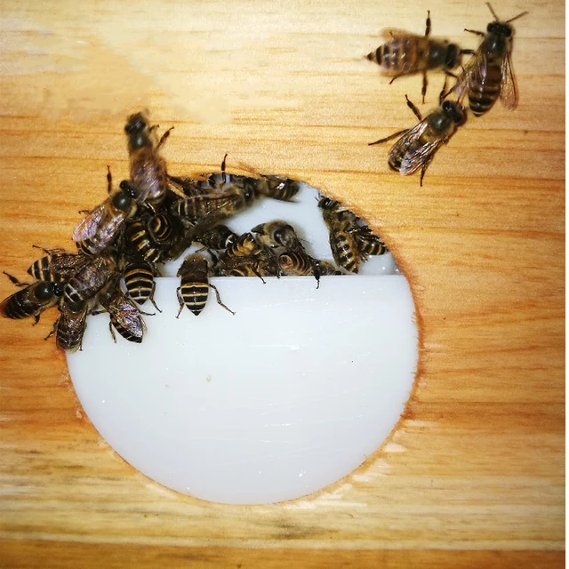 1 Százalékos Apikultúra Automatikus Méh Adagoló A Méhkas Belső Víz -Adagolójának Nyitása Nélkül Cukorvíz Méhész Szerszámok - Image 5