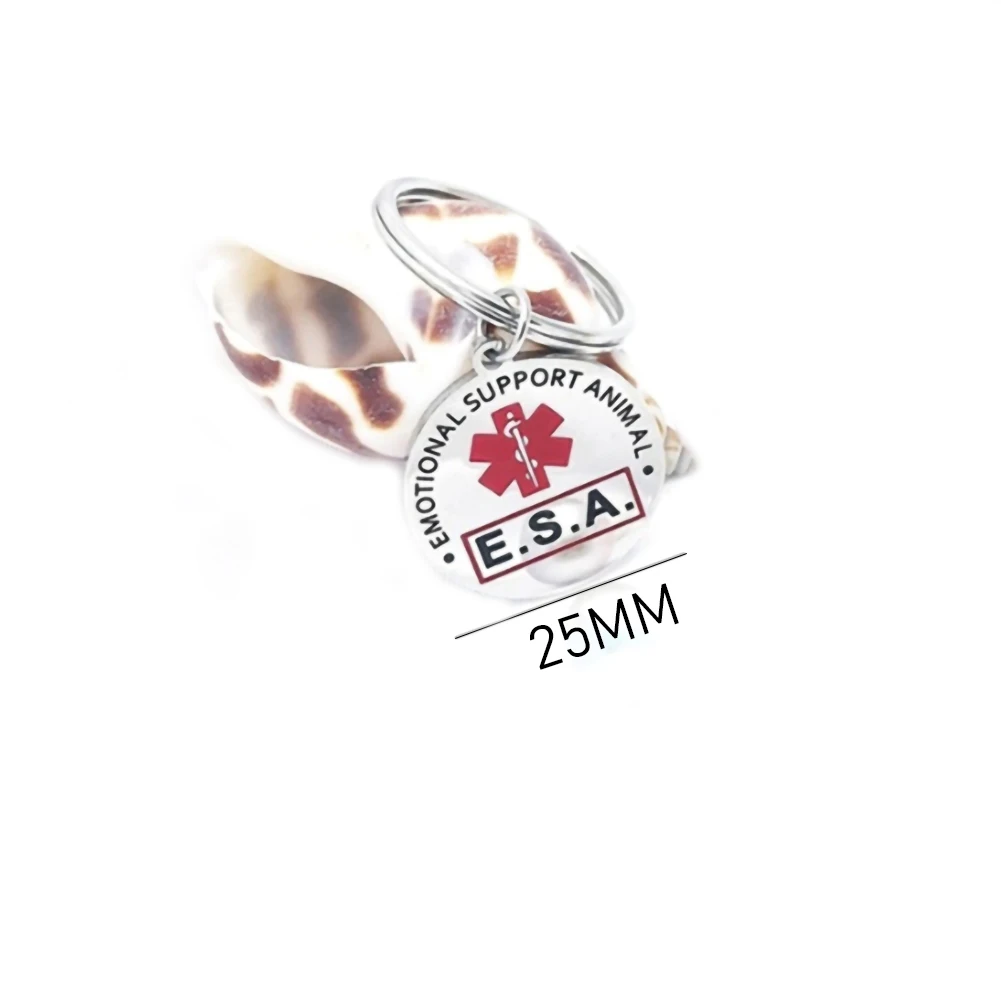 Personalized Stainless Steel Dog Tag – Double-Sided Anti-Lost Pet Collar Accessory