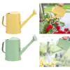 Watering Can Water Can for Plants with Sprinkler Head 2L Long Mouth Watering Can Flower Watering Can for Outdoor House Plant 2