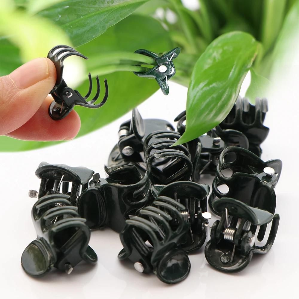 Dark Green Plant Clips - 6-Claw Climbing Stem Support Bundle