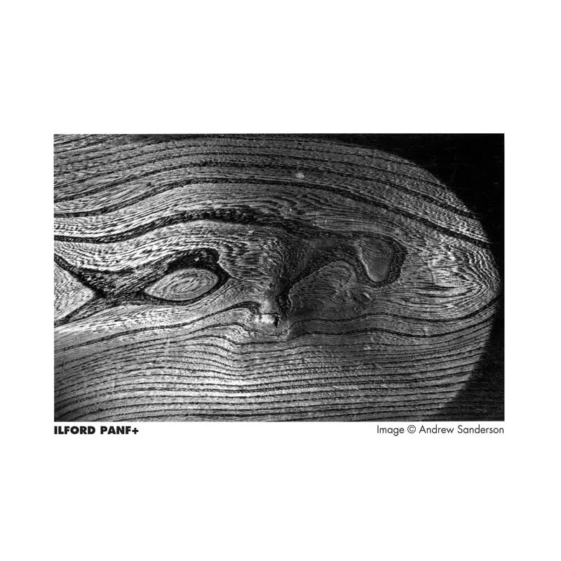 1/3/5/10 ROLLS ILFORD PAMF PLUS 50 120 Ilford 135 Black and White 35MM Film PANF PLUS 50  Media Photography Black And White Film