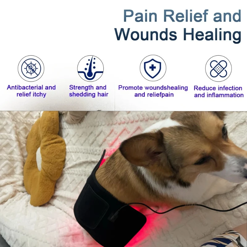 Veterinary use Red light LED therapy physiotherapy equipment for Pet dog pain relief pain reduce