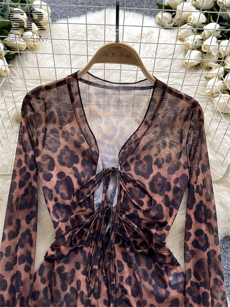 sheer leopard print long sleeve top