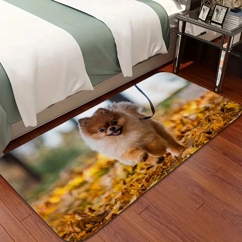 

Carpet for Bedroom Cute Pomeranian Washable Non-slip Kitchen Rug Living Room Flannel Bath Mat Non-slip Outdoor Entrance Doormat