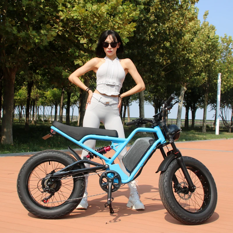 AKEZ 48V 750W/1500W motor 18AH 20*4.0-inch fat tires Adult Mountain Off-road Electric Bicycle All-terrain