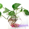 Hexagon Vase Christmas Hexahedron Wall Terrarium Glass Flower Vase Wall Round Sphere Tabletop Vases Home Decoration Transparent 3