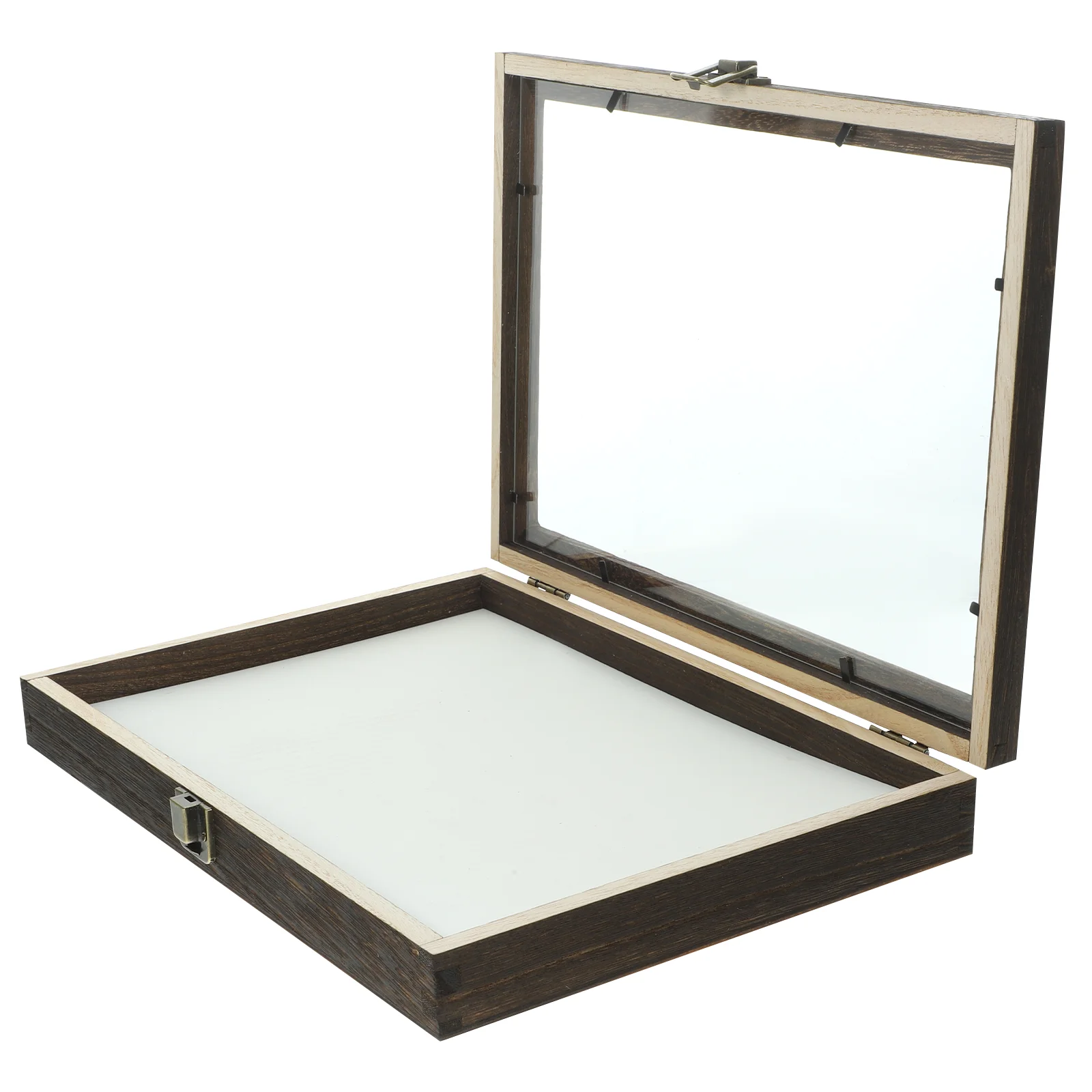 

Sets Display Case Clear Glass Top for Collecting Butterflies and Bugs in Museums
