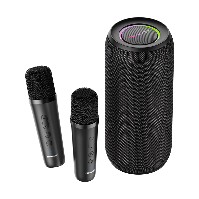 2 microphone