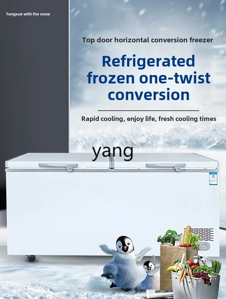 LMM Commercial Capacity Horizontal Household Refrigerator Refrigerated Freezer Single and Double Temperature Freezer
