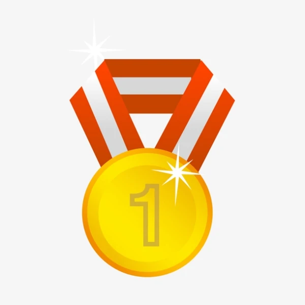 Bafire Model 3 Model Y Select Store