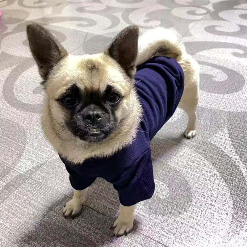 Black Pug Dog Dress Pug Puppy Outfits Tailor Made Black Suit, Crop