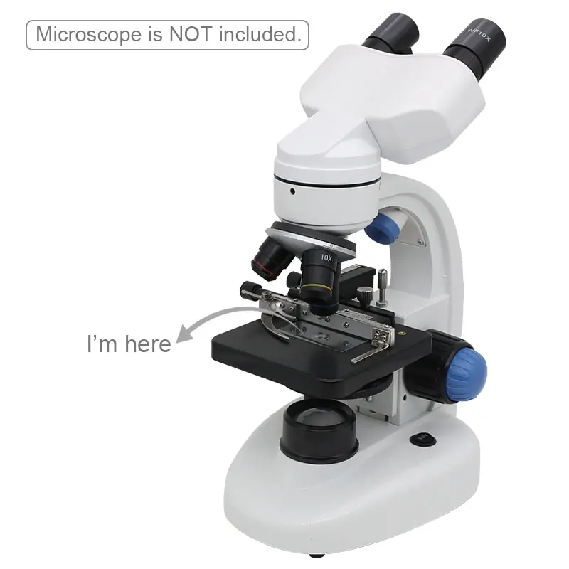 100 Pieces Microscope Cover Glass 24x50mm Non-fogging Blank Glass Slides 0.13-0.17mm Thickness with Box for Blood Cell Counting microscope glass slides