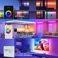 Tuya Wifi LED Controller C01W C05W DIM CCT RGB CCTRGBW LED Light Dimmer Smart Life APP 2.4G RF Alexa Google Home Voice Control 3