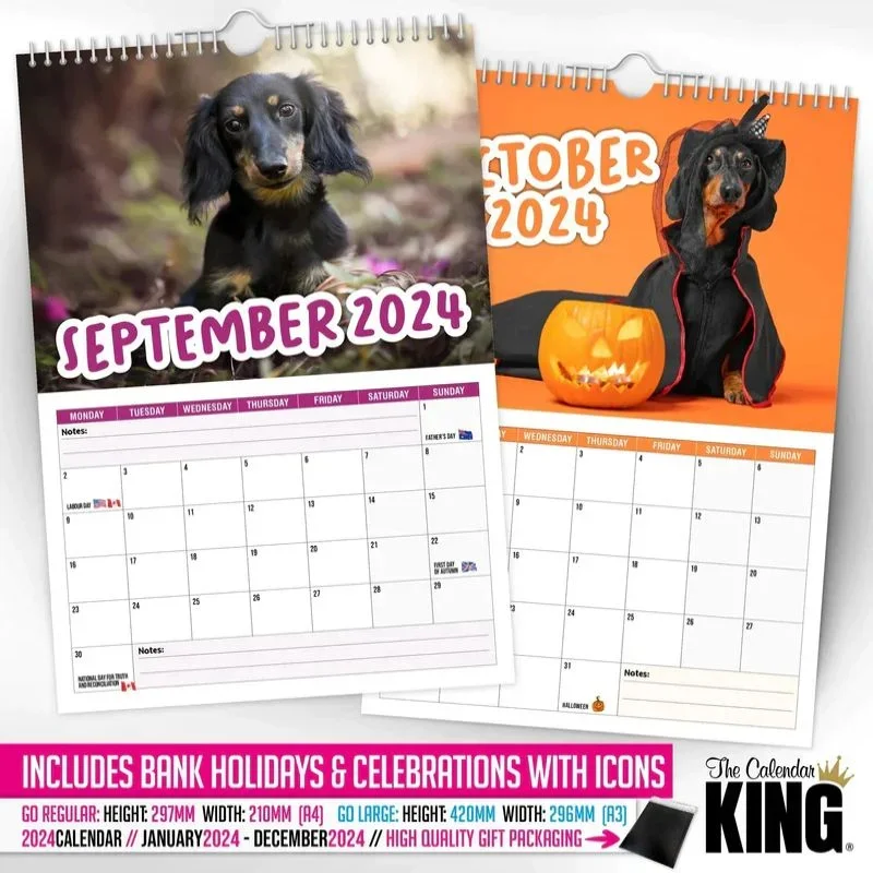Cheeky Dachshunds - 2024 Wall Calendar Cheeky Dachshund Time Planning Wall Calendar  2024 New Dachshund Wall Calendar - AliExpress