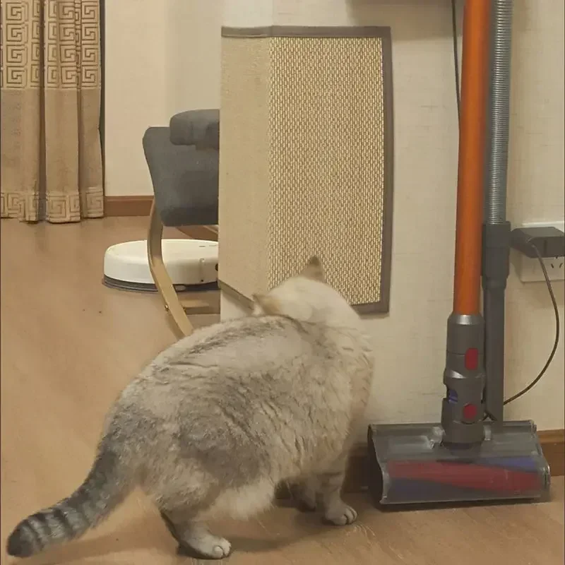 Rascador de bambú para gatos, alfombrilla tejida para afilar uñas, rascador para gatos, juguetes de árbol, silla, funda de sofá, Protector de muebles 3