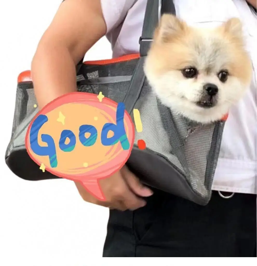 Pet Handbag Panoramic Breathable Mesh Bag Dog Outing Pet Bag Large Capacity Handbag Lightweight Portable Foldable Cat