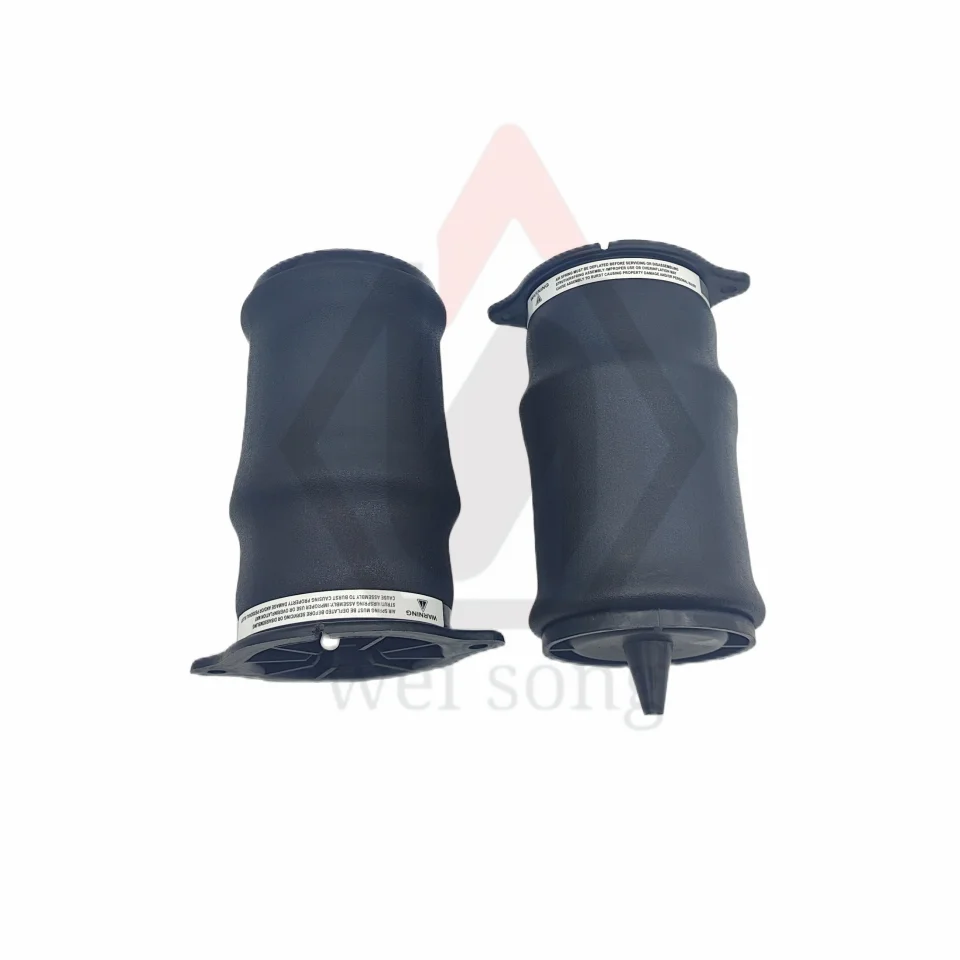 MaXpeedingrods Kit Sospensioni Pneumatiche Posteriori Per Mercedes Viano/Vito W639 E W447 - Foto 11