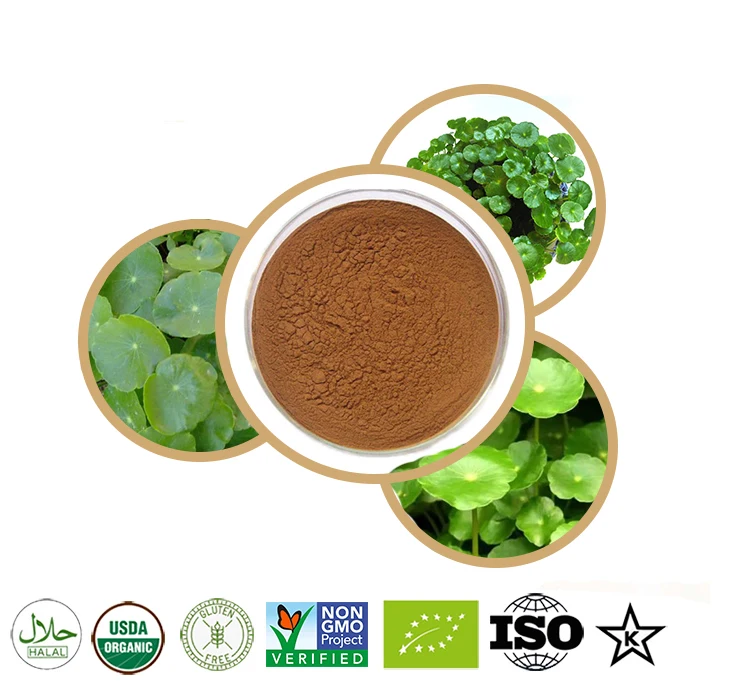 Gotu Kola Powder 100 -1000g gotu kola powder