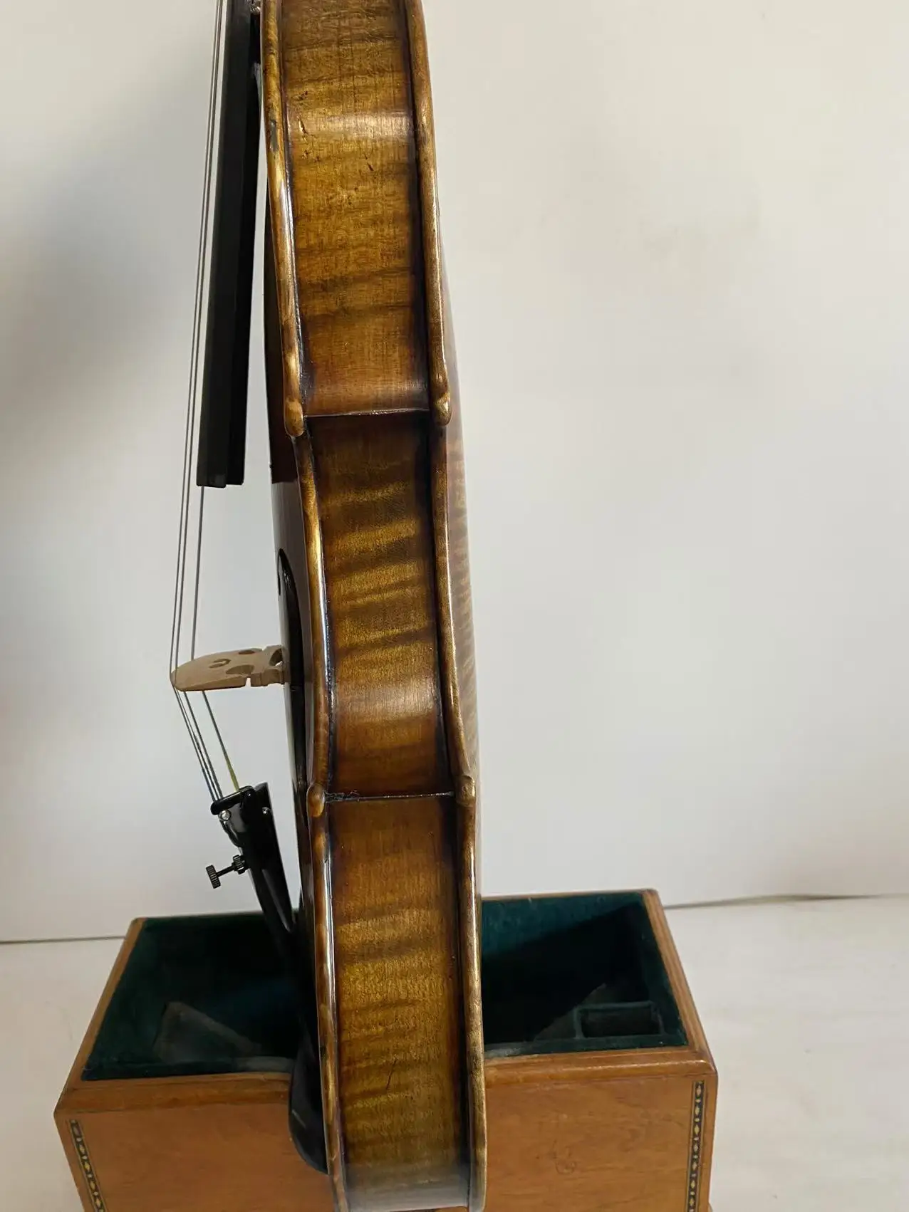 Master 4/4 violin Guarneri model 1742 European one piece back