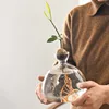 Avocado Hydroponic Vase Glass Storage Container Home Decoration Living Room Decoration Avocado Kernel Seeds Small Flower Vase 1
