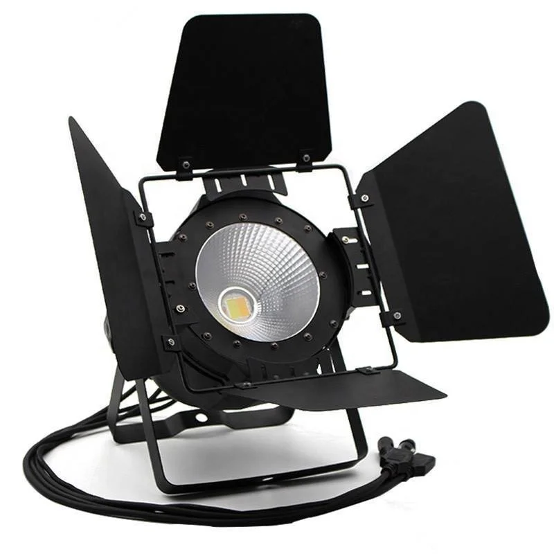 Cappello Coldwhite + Warmwhite 100W 200W Cob Flood Light Cella Solare Led Grow Light 200W Cob Par Light Rgb