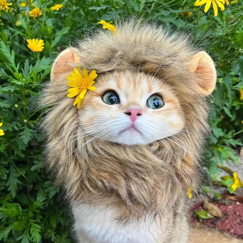 Cute Lion Mane Cat/Dog Costume Wig