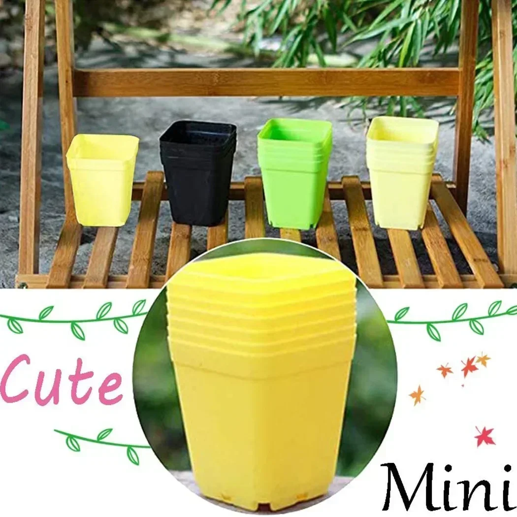 20pcs 5.5CM Mini Basin Square Flower Pot Succulent Plant Trays