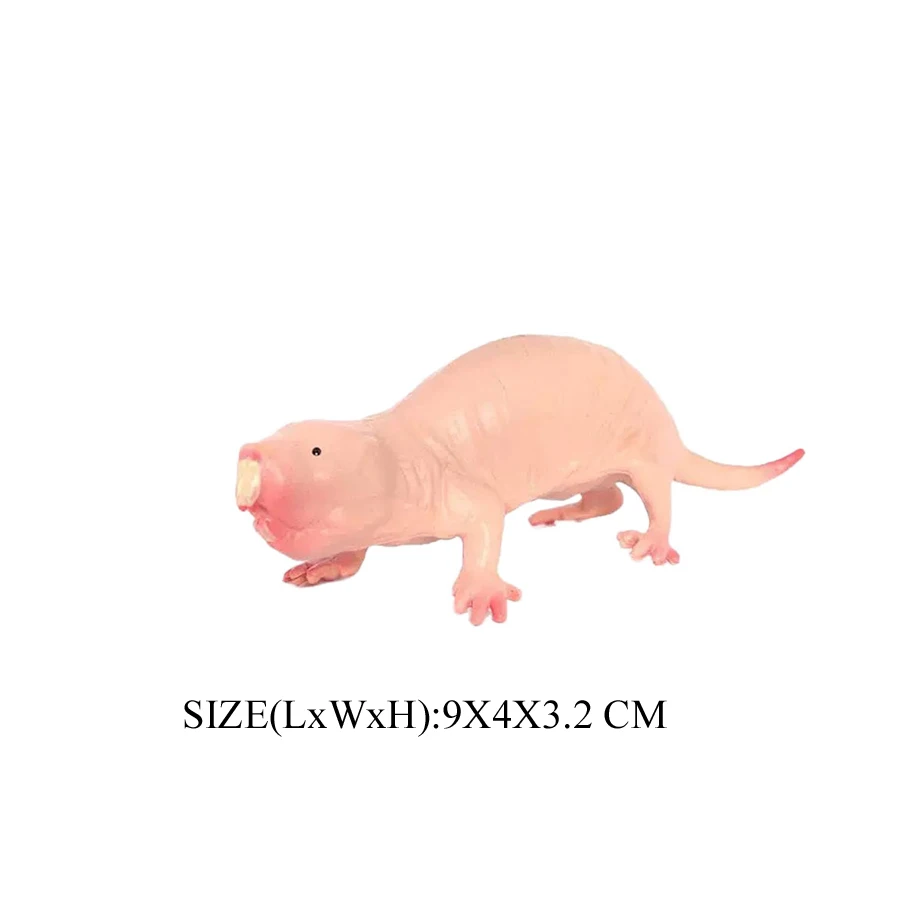 Realistische Nagetier Wilde Tiere Capybara Biber Maulwurf Erdferkel Maus Chipmunk Eichhörnchen Murmeltier Modell Figur Sammlung Spielzeug – Detail 9