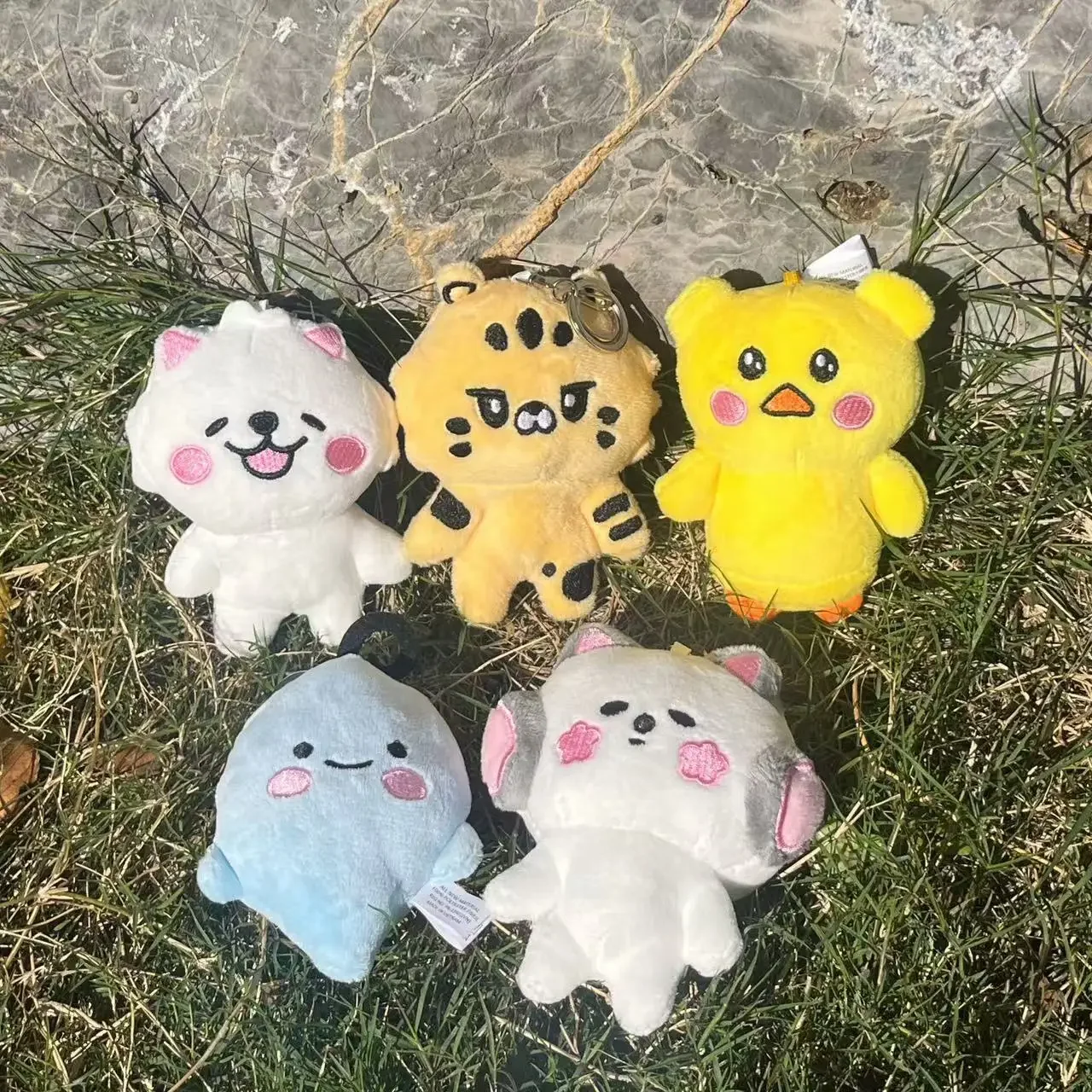 10cm Kpop Yunjin Plushie EUNCHAE Keychain New Album Cute Animals Plushie Keychain KIM CHAEWON HUH HONG KAZUHA Fans Gift 2